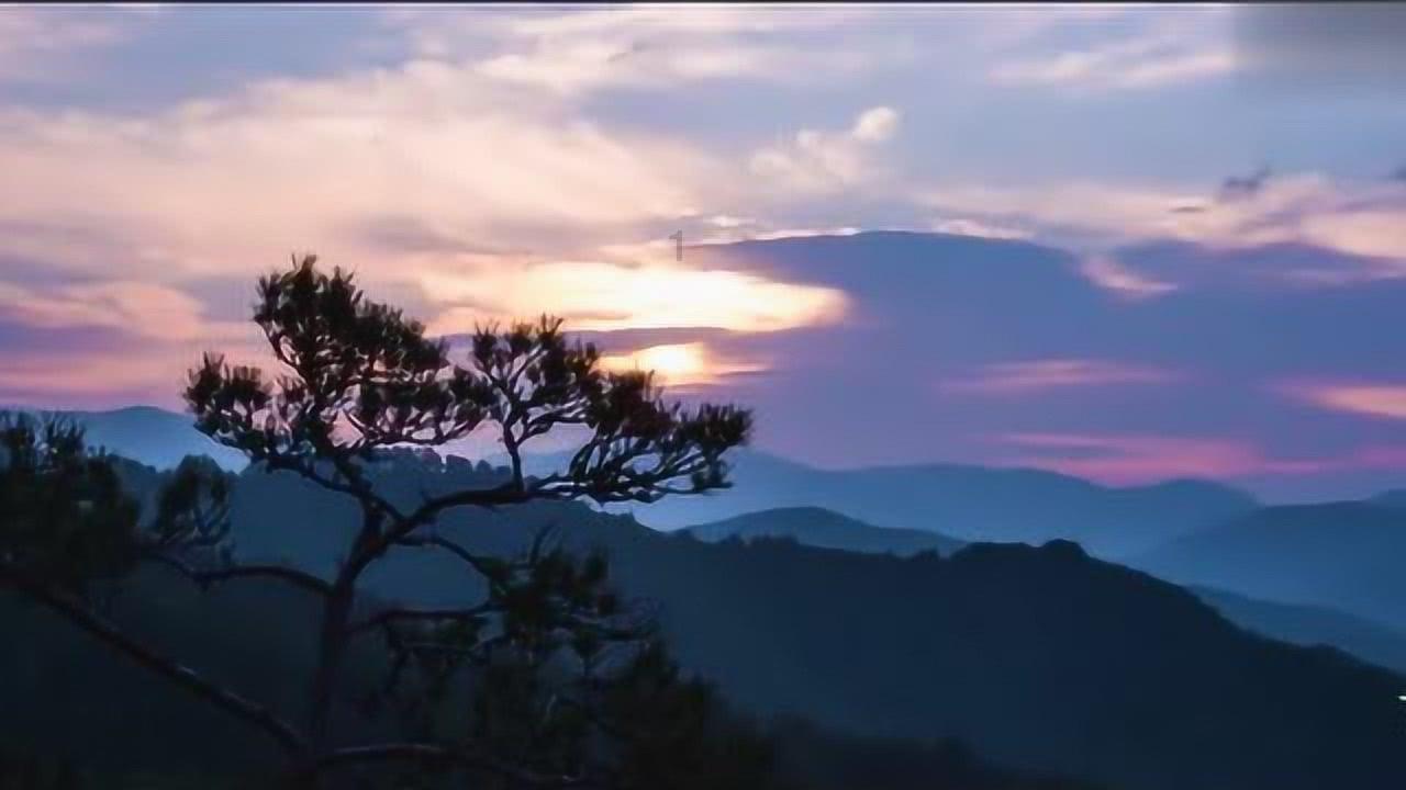 探索如何处理工作烦恼?知识星球,解读专业前沿信息