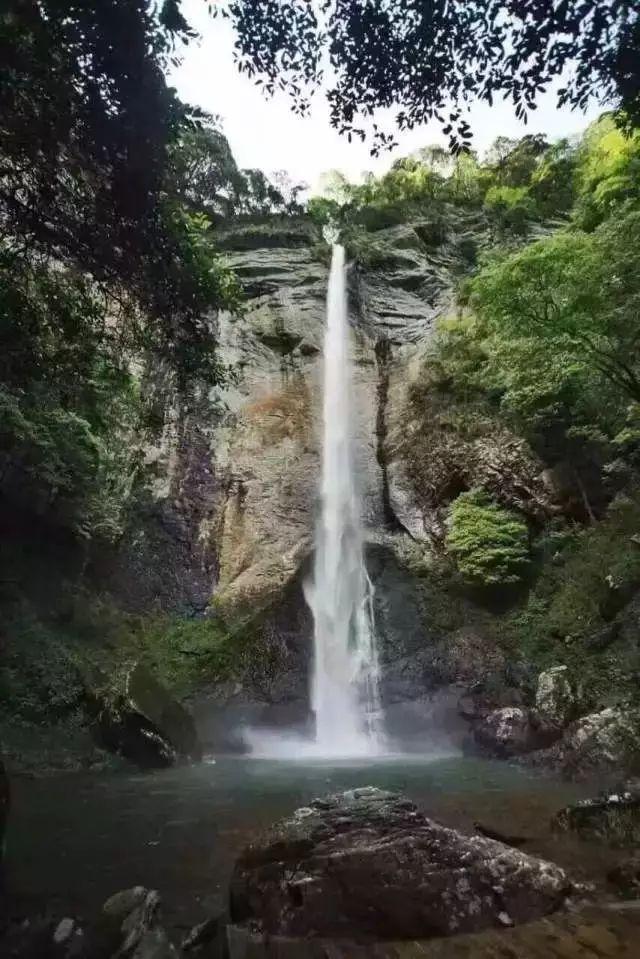 燃烧吧大脑装瓶子游戏